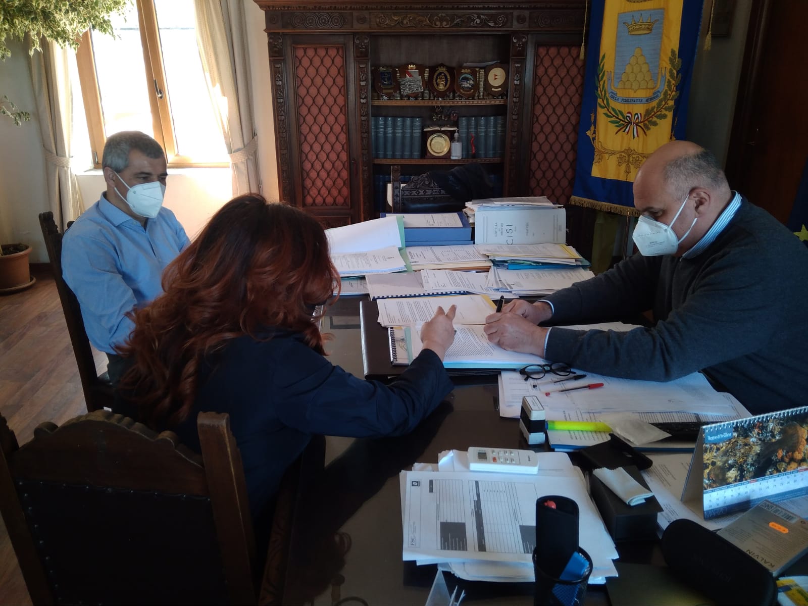 Disciplina del verde pubblico e privato del comune di Ischia